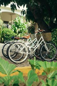 埃斯孔迪多港Casa Losodeli & Coworking- Adults Only的彼此相邻的自行车