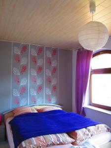 克林根塔尔汉希斯公寓的一间卧室配有一张蓝色墙壁和紫色窗帘的床