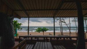 戈卡尔纳Trippr Gokarna - Beach Hostel的相册照片