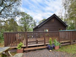 Dallavich奥赛湖景山林小屋的小木屋设有长凳和木栅栏