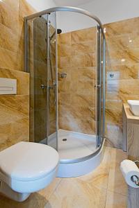 格丁尼亚Olkuska 107 A的带淋浴、卫生间和盥洗盆的浴室
