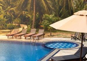 椰子花园餐厅酒店内部或周边的泳池