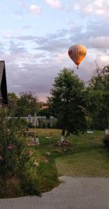 维尔纽斯Hillside country house - Long stays的飞过公园的热气球