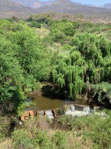 伯格斯堡莱珀特山林小屋的相册照片