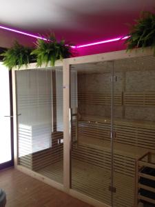 雷苏塔诺摩纳哥迪梅佐农庄酒店的客房设有带紫色灯的大型淋浴间。