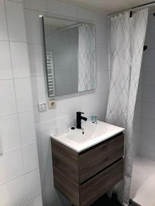 霍勒姆Hotel-Brasserie De Walvisvaarder的一间带水槽和镜子的浴室
