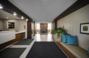 霍兰Staybridge Suites - Holland, an IHG Hotel的带沙发的办公室走廊和厨房