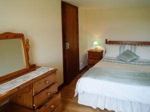 基利贝格斯Atlantic View Holiday Home Killybegs的一间卧室配有一张床、梳妆台和镜子