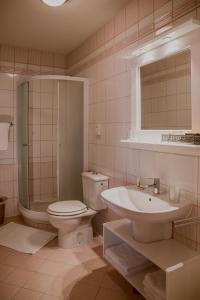 布雷日采Splavar Rooms的浴室配有卫生间、盥洗盆和淋浴。