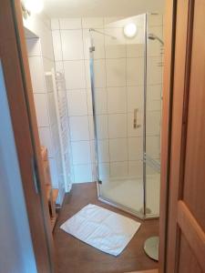 哈尔施塔特Apartment Müllerstiege的浴室里设有玻璃门淋浴