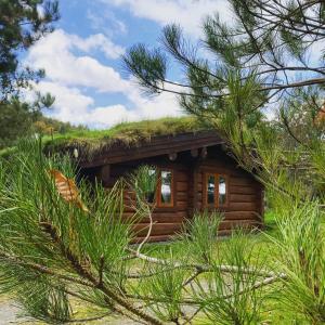 阿尔弗斯顿Log home village的小木屋,设有草屋顶
