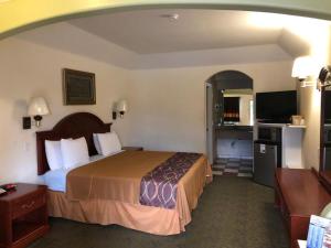 PorterPorter Executive Inn & Suites的酒店客房,配有床和电视