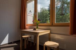 菲施Sport Resort Fiesch - Fiescher Hostel的窗下摆着花瓶的桌子
