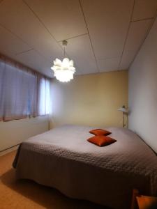 KaustinenSalonkylän koulu的一间卧室配有一张床和一个吊灯