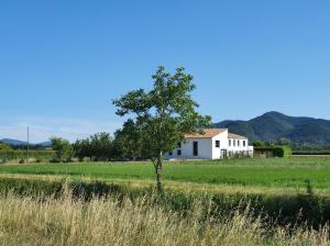 勒普赞En campagne, confortable的田野上的白色房子,有树