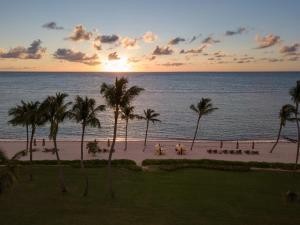 蓬塔卡纳托尔图加湾酒店的棕榈树海滩上的日落和海洋