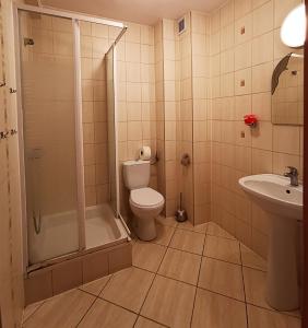 斯拉百斯Olimpik Park的浴室配有卫生间、淋浴和盥洗盆。