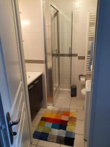 艾克斯莱班appartement cosy au calme et en centre ville的带淋浴的浴室和色彩缤纷的地毯。