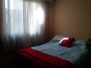 门多萨Hostel de Los Artistas的一间卧室配有一张带红色枕头的床和窗户