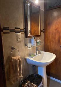 杜拉斯诺Apartamento Completo en el centro de Durazno的一间带水槽和镜子的浴室