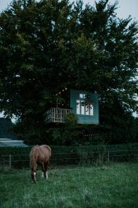 KværndrupTreehouse escape的牧场上的马在房子前面放牧