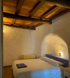 阿尔库迪亚德瓜迪克斯CASA CUEVA PIENA, Alcudia de Guadix的一间卧室设有一张床和木制天花板