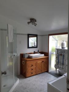 Whangaroa圣汐别墅酒店的一间带水槽和淋浴的浴室