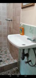 奇奇卡斯特南戈Hotel Chalet的浴室配有白色水槽和淋浴。
