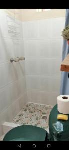 奇奇卡斯特南戈Hotel Chalet的一间带绿色卫生间和淋浴的浴室