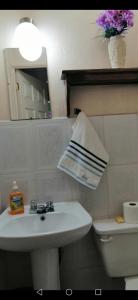 奇奇卡斯特南戈Hotel Chalet的一间带水槽、卫生间和镜子的浴室
