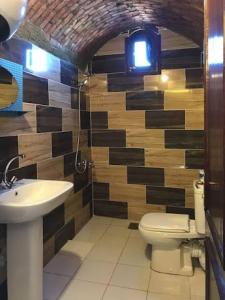 阿斯旺恩卡多里努比亚宾馆- 阿斯旺的一间带卫生间和水槽的浴室