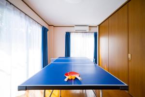 MitsuneHachijyo-island Blue Eight -八丈島ブルーエイト-的一张乒乓球桌,上面有一只玩具乌龟