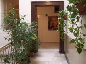 巴里盆西奥罗密欧酒店的门前有盆栽的走廊