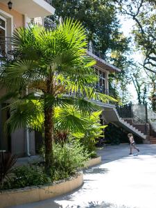 索契Villa Polianna的一只在棕榈树屋前行走的孩子
