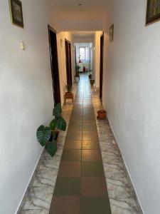 锡比乌Pensiune Turist的走廊铺有瓷砖地板,走廊上种植了植物