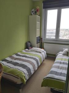 布兰肯贝赫Appartement met zeezicht的配有两张床铺的绿色墙壁和窗户