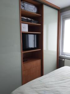 布兰肯贝赫Appartement met zeezicht的一间带木书架电视的卧室