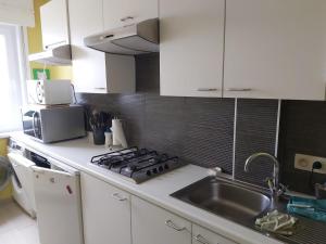 布兰肯贝赫Appartement met zeezicht的厨房配有水槽和炉灶 顶部烤箱