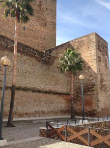 奥利文萨Hostal Los Amigos的两棵棕榈树,在砖墙前