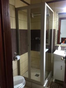 萨尔瓦尔Cherry Apartmanház的带淋浴、卫生间和盥洗盆的浴室