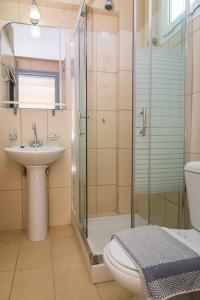 卡拉马孔马其顿酒店的带淋浴、卫生间和盥洗盆的浴室