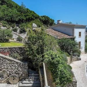 RoliçaRio d'Azenha - Country House的一座石墙和一棵树的房子