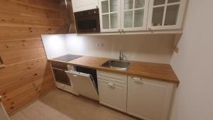 切尔韦纳沃达Apartmány Orlice的小厨房配有白色橱柜和水槽