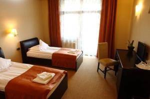 札勒乌Hotel Transilvania Zalău的酒店客房配有两张床和一张书桌