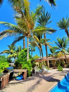 洛雷托Coco Cabañas and Casitas Vacation Rentals的棕榈树和游泳池度假村