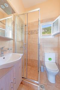 波罗斯Akrogiali Studios的带淋浴、卫生间和盥洗盆的浴室