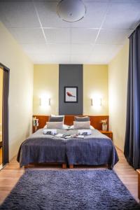 玛特阿哈泽4 Évszak Hegyihotel的一间卧室配有一张大床和蓝色地毯。