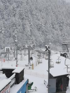 阿贝托内阿贝托内皮拉米迪度假酒店的雪覆盖的滑雪场,设有滑雪缆车