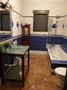 安特克拉CASA RURAL EL CHAPARRO的带浴缸、盥洗盆和卫生间的浴室