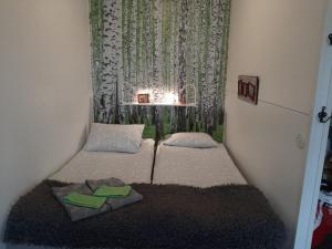 曼塔Torni-Mänttä的小房间设有两张床和窗户